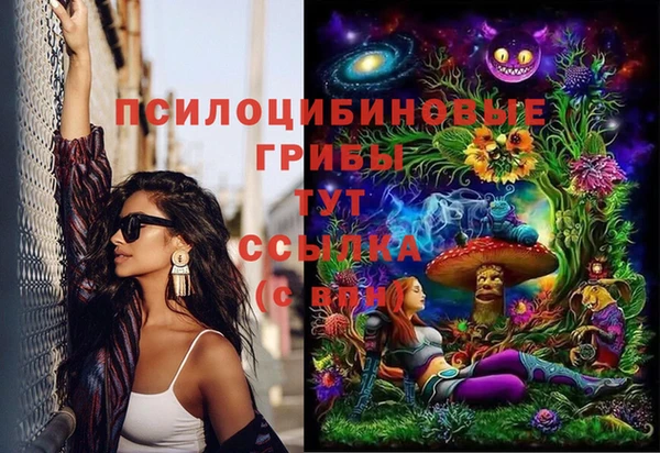 твердый Теберда