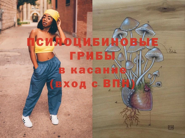 прущий лед Переславль-Залесский