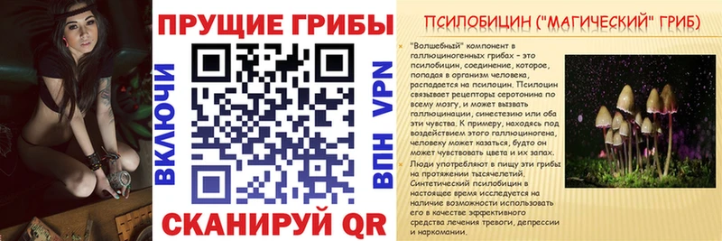 Псилоцибиновые грибы GOLDEN TEACHER  Юхнов 